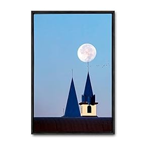 Framed Canvas Wall Art Animals, Flowers, Birds Canvas Prints Home Artwork Decoration for Living Room, Bedroom - 16x24 inches