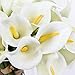HoveBeaty Calla Lily Bridal Wedding Festival Decor Bouquet Real Touch Latex Flower Bouquet Pack of 20 (Yellow-White)