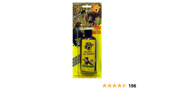 pheasant dog training kits