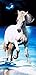 White Horse Brazilian Velour Beach Towel 30x60 Inches