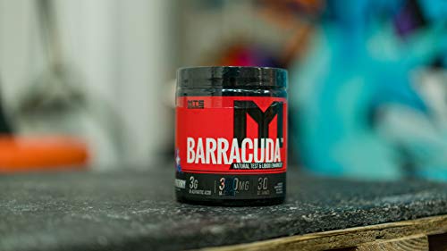 Barracuda