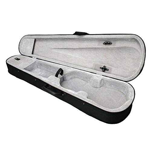 4/4 Full Size Violin Triangle Shape Violins Hard Case
