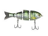 Catch Co Mike Bucca Baby Bull Shad Swimbait 3.75