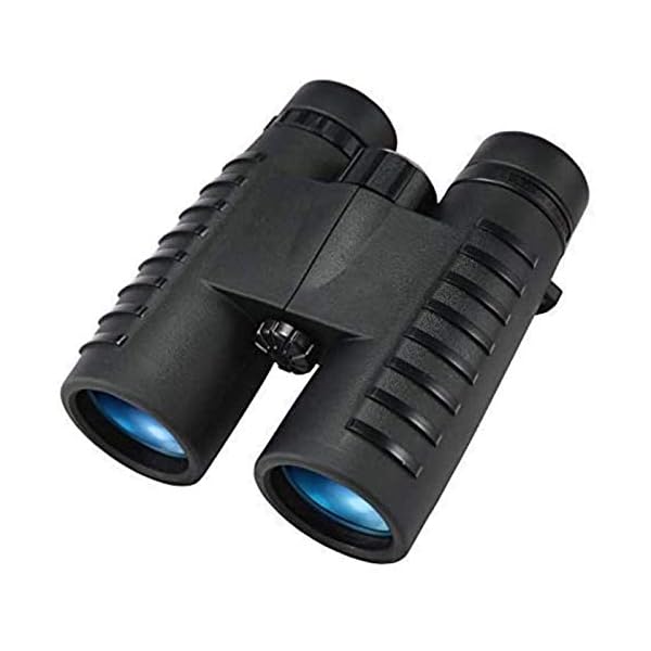 Fernglas, Teleskop Hd 10X42 Fernglas Teleskop Zoom Vision Okular Leistungsstarke kompakte Wasserdichtigkeit für den… – Bild 6