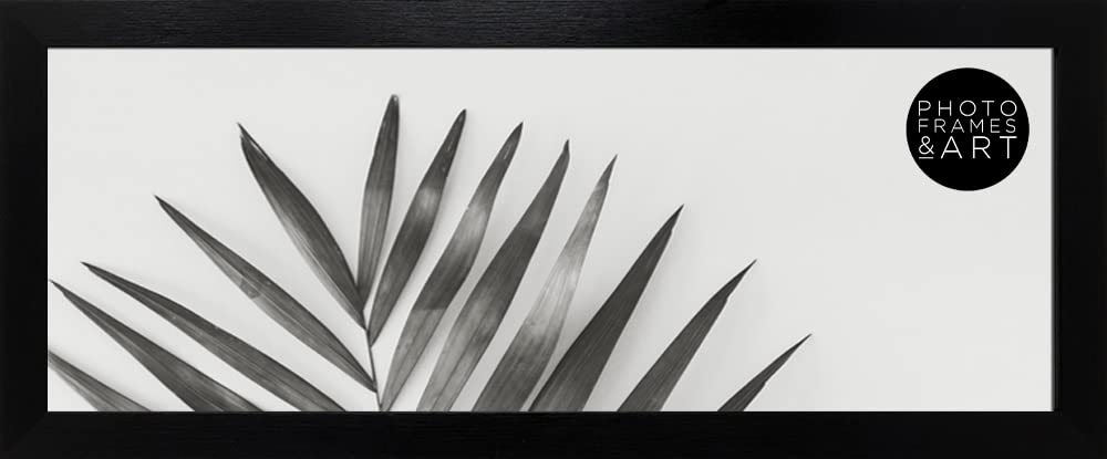 pf+a REAL GLASS 12x5 Photo Frame - Oxford Black Panoramic 12x5 Picture Frame - 12x5 inch Frame