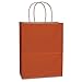 BagDream Gift Bags 8x4.25x10.5 IN 100Ct Kraft Paper Gift Bags with Handles Bulk, Halloween Party Favor Retail Shopping Craft Bags (Orange)