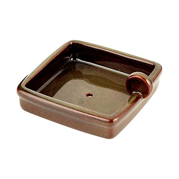 Wildlife World Ciotola per Lo Snack dei Ricci