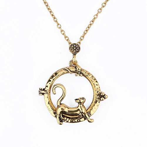 Sinfu Necklace For 1PC Women Personalized Fashion Magnifier Magnify Glass Reeding Chain Necklace Pendant Jewelry Accessories Collectors Gift (D)