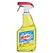 Windex Multi-Surface Disinfectant Cleaner Trigger Bottle, Citrus, 23 fl oz