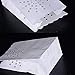 Candle Bags, INTVN Lantern Paper Bags Candle Luminary Bags Flame Resistant Paper Bags for Wedding, Christmas, Holiday, Party Decoration, White, 30 Pieces