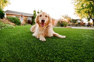Synturfmats Premium Indoor/Outdoor Green Artificial Grass Rug - Decorative Synthetic Turf Runner Rugs Carpet with Drainage Holes, Two-Tone Green 1.2in Blades (4'x6') - Thumbnail 6