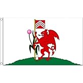 AZ FLAG - Cardiff Flag - 3x5 Ft - 100D Polyester Cardiff - Walles Banner with Two Metal Grommets - Fade Resistant - Vivid Colors - 3' x 5' Feet - 150x90 Cm