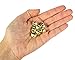 Creative Hands Jingle Bells, 6mm-16mm