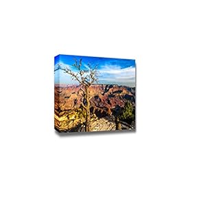Canvas Prints Wall Art - Landscape View of Grand Canyon with Dry Tree | Modern Wall Decor/Home Art Stretched Gallery Canvas Wraps Giclee Print & Ready to Hang - 12" x 18"