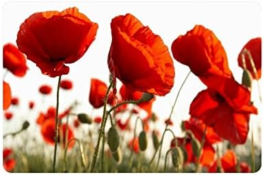 Beautiful Red Poppy Flower Art Custom Doormat Entrance Mat Floor Mat Rug Indoor/Outdoor/Front Door/Bathroom Mats Rubber Non Slip Size 23.6 x 15.7 inches