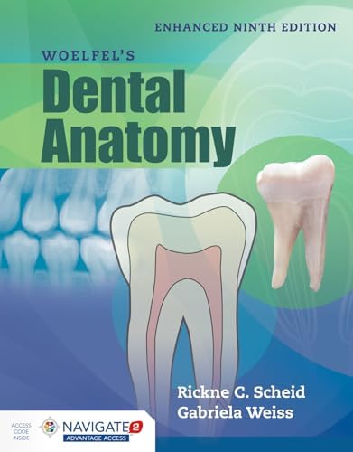 Dental Anatomy and Morphology: 9780867157703: Medicine & Health