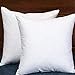 StarryBedding Down and Feather Square 18x18 Inch Throw Pillow Insert, Set of 2, 100% Cotton