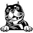 Peeking American Bully Dog Terrier Car Sticker, Dog Face Decals for Car Window Bumper, Pit Bull Dog Decals for Vehicle, Peeking Car Sticker Anime, Peekaboo Vinyl Cute (American Bully)