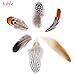 TommoT 180 Pcs 6 Style Chicken Feathers Assorted Mixed for Party Dress-ups and Dream Catcher Crafts