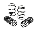 Eibach Pro-Kit Performance Springs E10-40-038-01-22