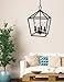 Trans Globe Imports 10264 ROB Transitional Four Light Pendant from Lacey Collection in Bronze/Dark Finish, 12.00 inches