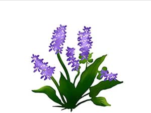 Pegatina de pared púrpura lavanda flor dibujo animado baño pegatina