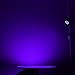DeepDream Blacklights 12 watt Led Black Light uplighting UV Lamp Glow in The Dark Room Outdoor Christmas Fishing Party Supplies