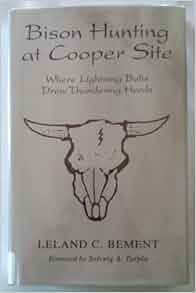 Bison Hunting At Cooper Site Where Lightning Bolts Drew