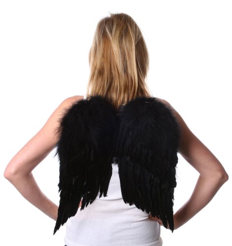 Zucker Feather Products Decorative Feather Angel Wings, Small
