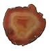 Agate Slice Assorted Colors; Large 14-18.5 Square Inch w Info Card