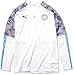 PUMA Men's Manchester City MCFC 1/4 Zip Top, Whiteteam Light Blue, XL