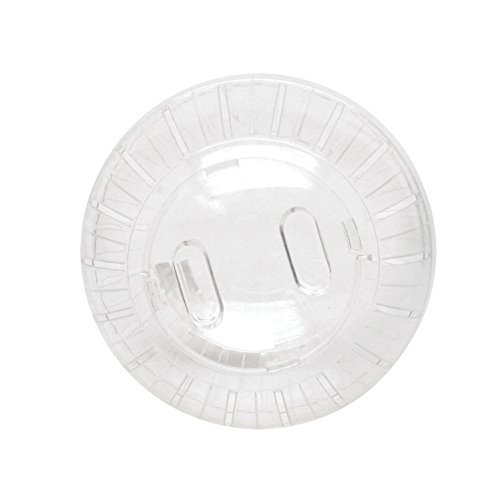 5 Kaytee+Giant+Run+About+Exercise+11+5+Inches