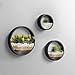 Modern Wall Planters Wall Vase Succulent Planter Circle Round Flower Pot Metal Iron Indoor Vertical Container Wall Hanging Home Decoration Size S,M,L 3 Pack Setthumb 1