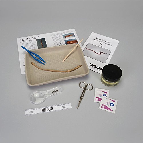 Carolina's Young Scientist Earthworm Dissection Kit