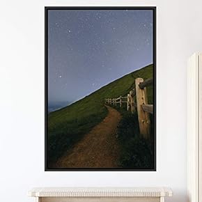 signwin Framed Canvas Wall Art Beautiful Landscape Canvas...