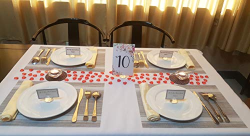 AiFanS 1LB(Approx 225Pcs) Red Acrylic Heart for Table Scatter Decoration or Vase Filler