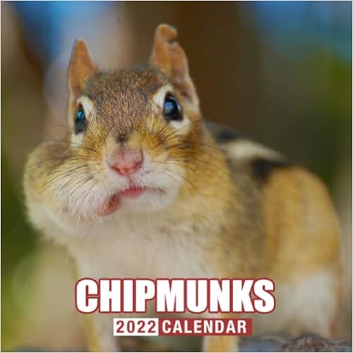 Chipmunks Calendar 2022: Cute Animals Calednar Official 2022 Monthly Planner, Square Calendar- Mini Planner Jan 2022 Official 12 Months| Premium Full ... 4 Months 2021| Kalendar Calendario Calendrier: Harry, David: 9798776231889: Amazon.com: Books