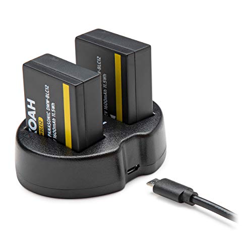 Panasonic LUMIX G85 Mirrorless Camera with 1260mm Lens, Koah