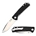 Kizer Cutlery Folding Pocket Knives Liner Lock Knife Drop Point Blade Black G10 Handles Tactical EDC Knife, V3 Vigor V3403A1