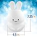 SillyCone Soft Silicone Rechargeable LED Children's Night Light with Remote and Extended Life 2,000 mAh Battery and USB Cable for Charging (Bunny)