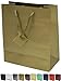 Novel Box Gold Gift Bags with Handles 10 Pack 8x4x10 Inches Large Paper Bulk Gift Bags for Business, Shopping, Birthday, Party Favor - Euro Tote Paper Bag for Groceries & Personal Use