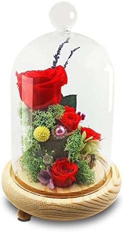 Handmade Preserved Rose Never Withered Roses Flower in Glass Dome, Gift for Valentine's Day Anniversary Birthday, with LED Flash Light (Gift box package)