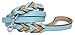 Soft Touch Collars - Leather Braided Dog Leash with Padded Handle, Turquoise and Beige, 6 Foot x 3/4 Inch