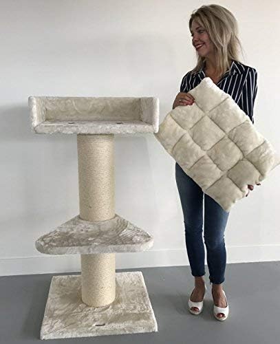 Cat Tree For Large Cats Maine Coon Lounge Beige Xxl Extra Big Breed Scratch Post And Adult Towers Furniture Scratcher Activity Centre Amazon Co Uk Pet Supplies