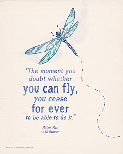 18 Inspirational Quotes With The Word Fly Richi Quote