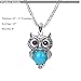 Paxuan Womens Vintage Owl Turquoise Jewelry Sets Retro Silver Turquoise Owl Pendant Necklace Drop Earrings Link Bracelet Set (Turquoise)
