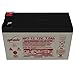 Enersys NP7-12 12V 7Ah Sealed Lead Acid Battery - Genuine Enersys Product