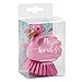 MLWYQOJ Flamingo Themed Kitchen Dish Scrubber - Plastic Palm Grip Scrub Brush with Nylon Bristles