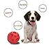 JAKPAK Jakpopin Dog Treat Ball [Fun Feeder][Safety Rubber] Jakpopin Training Toys IQ Treats Dog's Toy Ball Refillable Food Treat Ball for Dog Dispensing Toy Interactive 4.5 Inch Large, Red