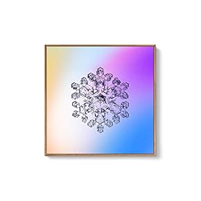 Framed Canvas Wall Art for Living Room, Bedroom Snowflake Theme Canvas Prints for Home Decoration Ready to Hang - 16x16 inches